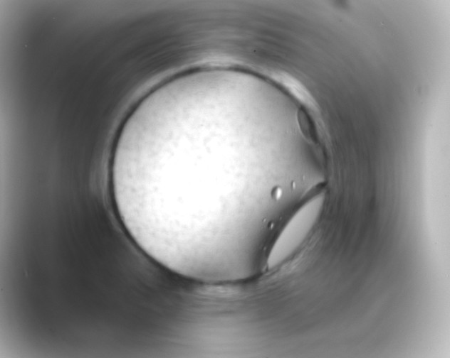 X0000088711183200706211957