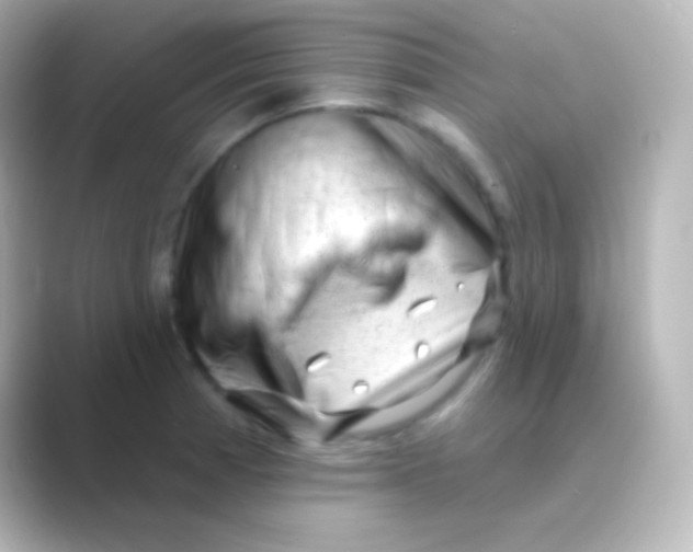 X0000088711185200706211957