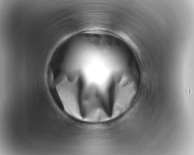 X0000088711189200706211957