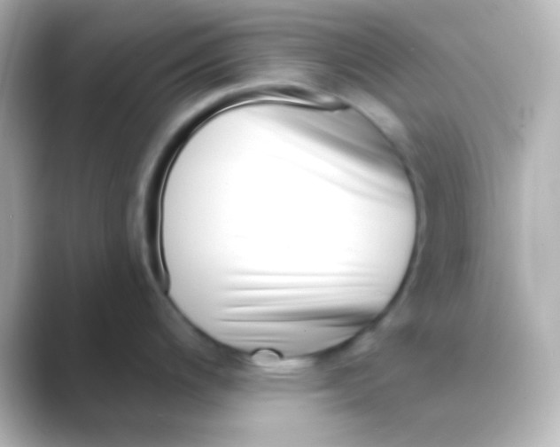 X0000088711200200706211957