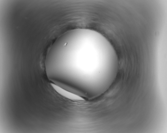 X0000088711202200706211956