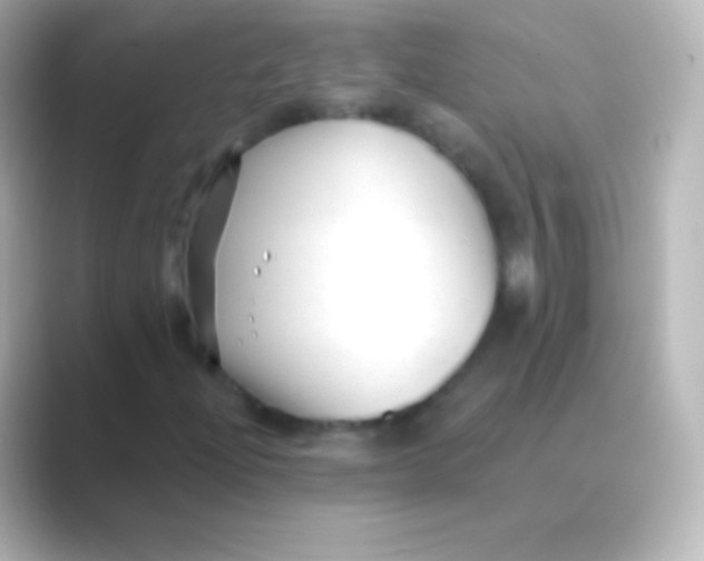 X0000088711204200706211956