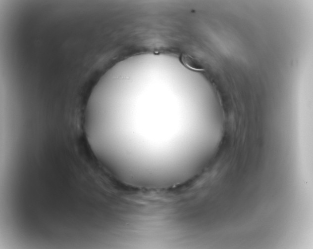 X0000088711205200706211956