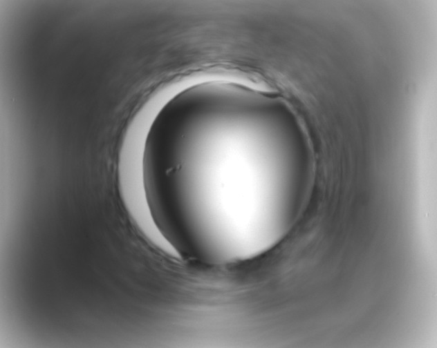 X0000088711206200706211956