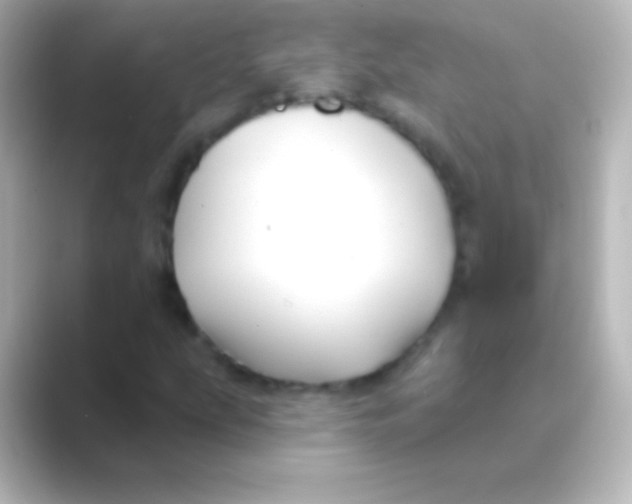 X0000088711207200706211956