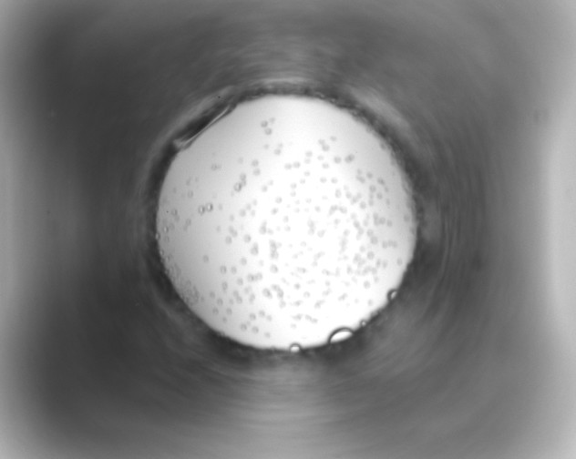 X0000088711208200706211956