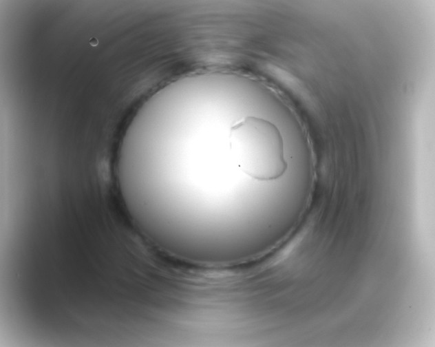 X0000088711209200706211956