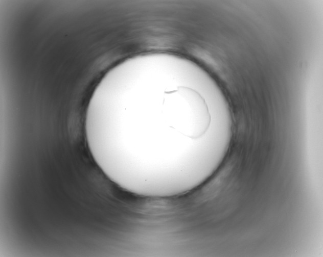 X0000088711211200706211956