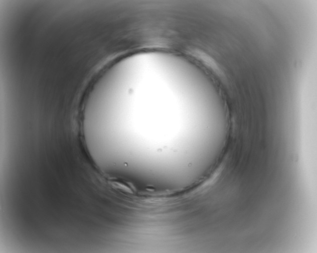 X0000088711212200706211956