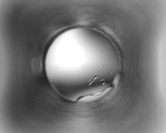 X0000088711214200706211956