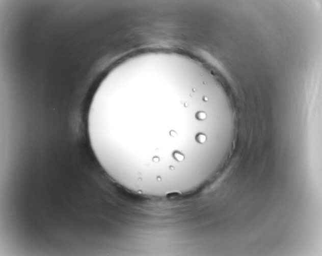 X0000088711215200706211956