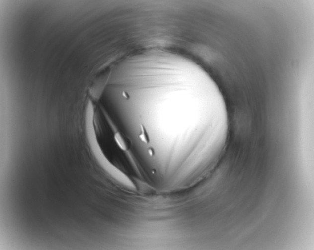 X0000088711217200706211956