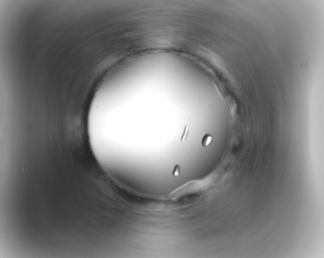 X0000088711218200706211956