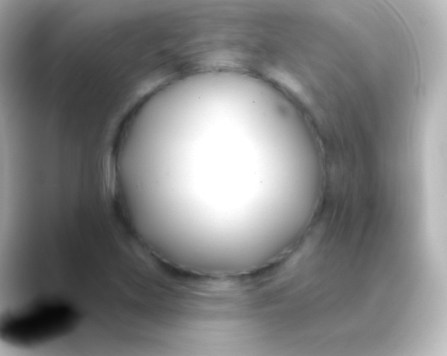 X0000088711219200706211956