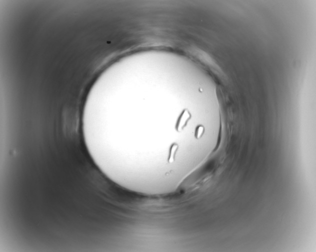 X0000088711220200706211956