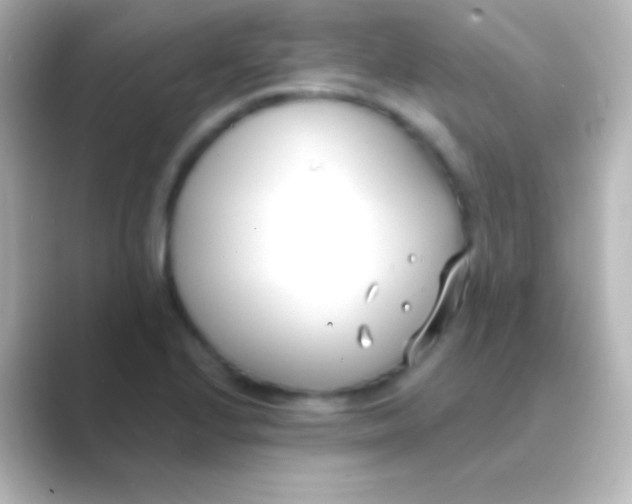 X0000088711224200706211957