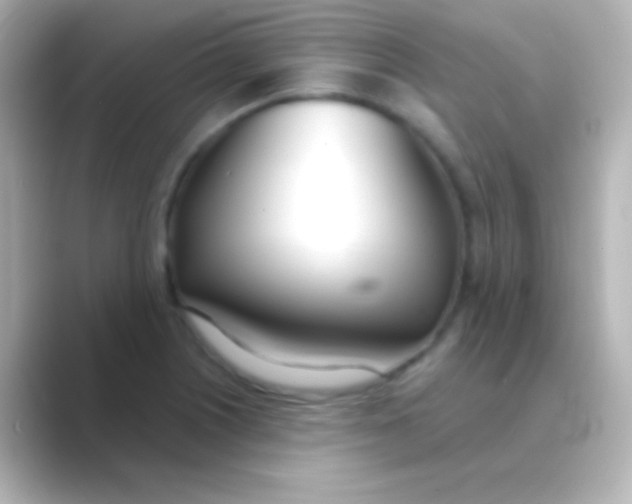 X0000088711226200706211957