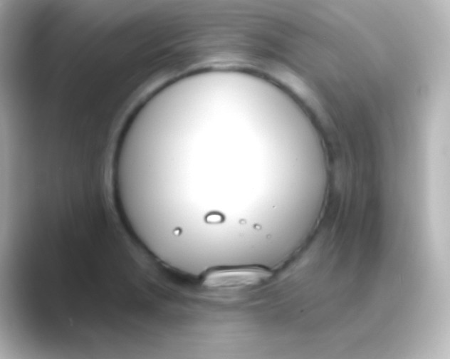 X0000088711229200706211957