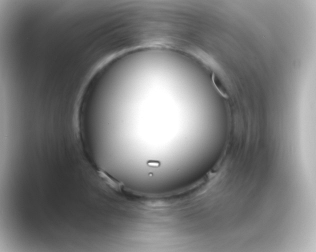 X0000088711230200706211957