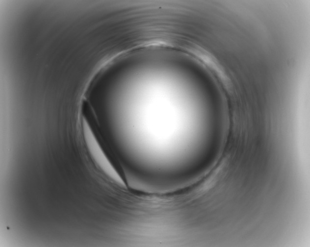 X0000088711234200706211957