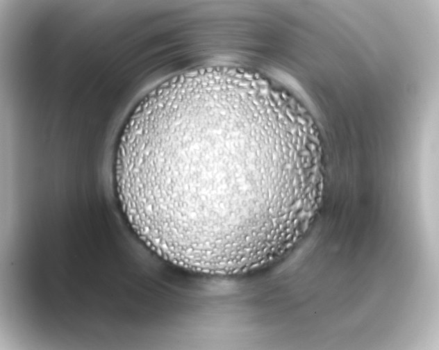 X0000088711235200706211957