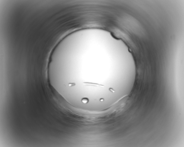 X0000088711236200706211957