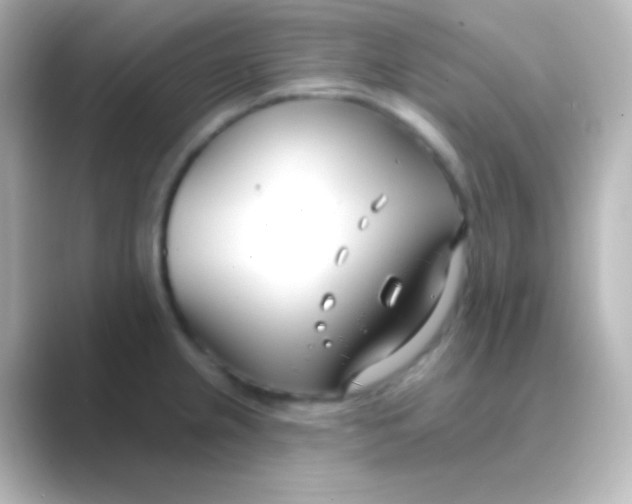 X0000088711237200706211957