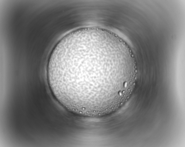 X0000088711239200706211957