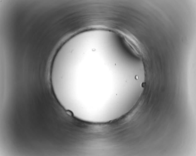 X0000088711240200706211957