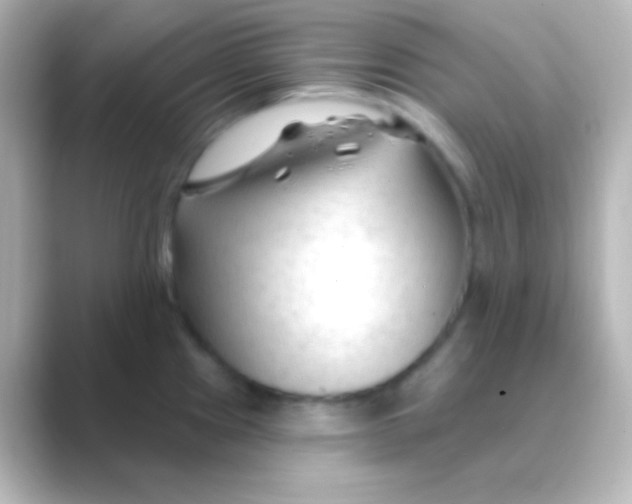 X0000088711241200706211957