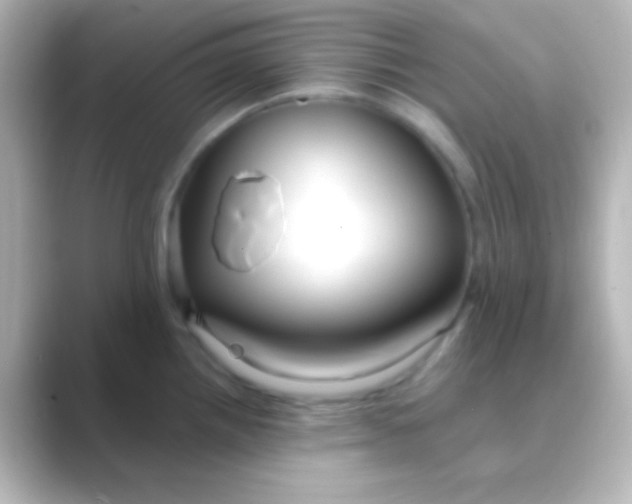 X0000088711242200706211957