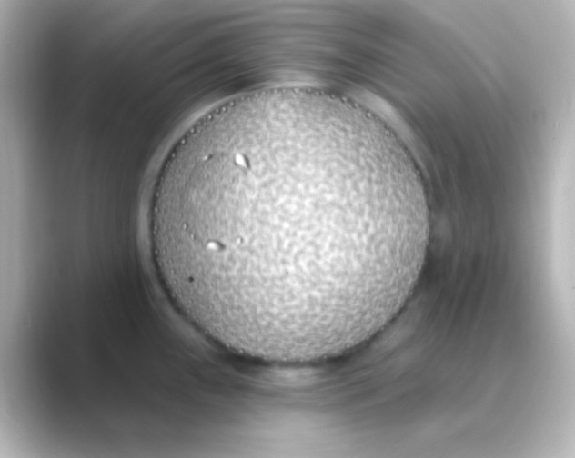 X0000088711243200706211957