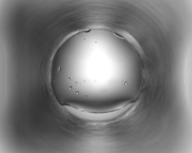 X0000088711244200706211957