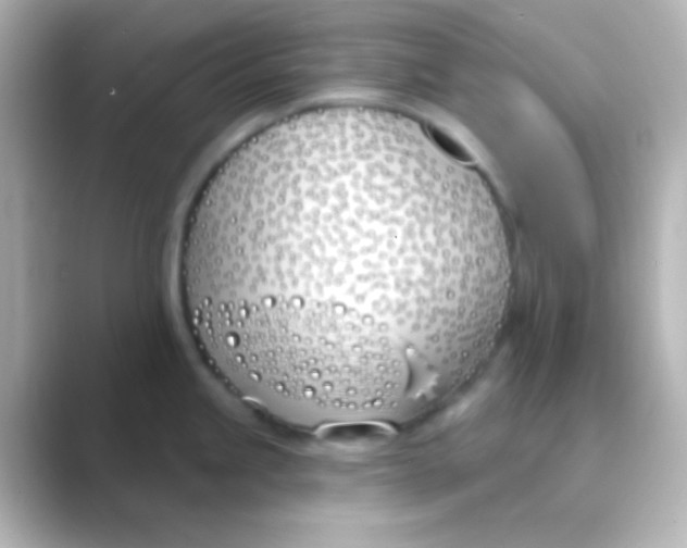 X0000088711245200706211957