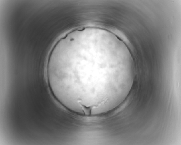 X0000088711247200706211957