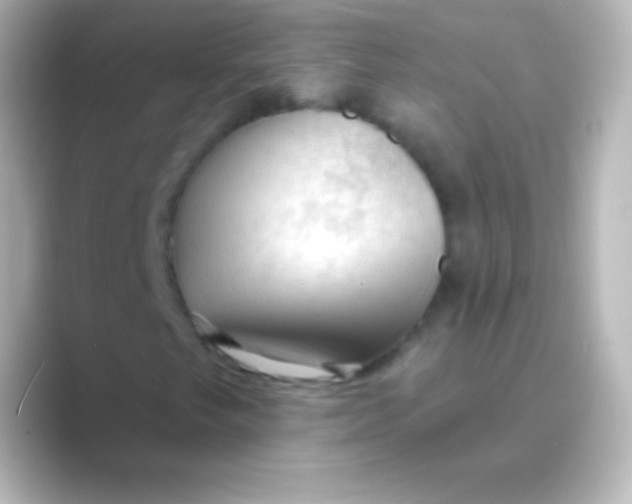 X0000088711249200706211956