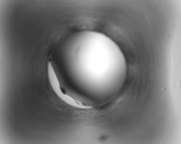 X0000088711250200706211956