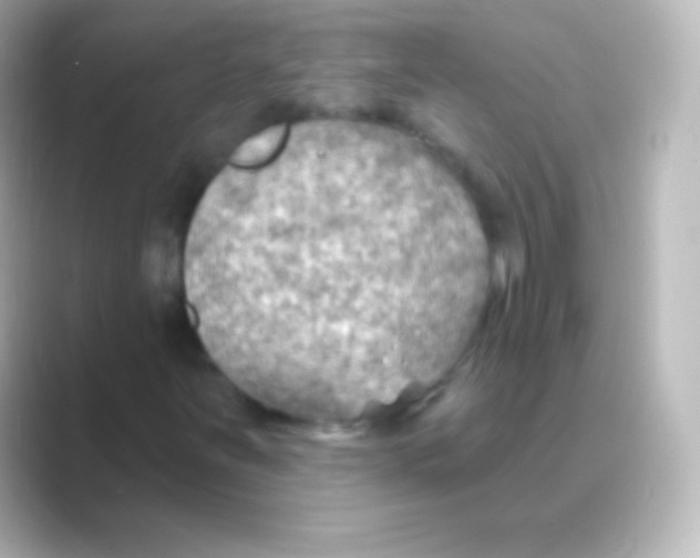 X0000088711251200706211956