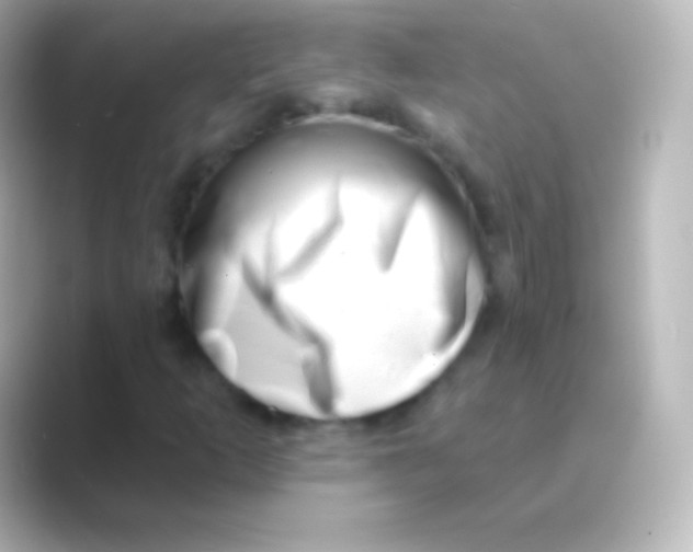 X0000088711253200706211956