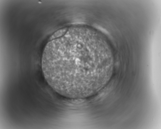 X0000088711255200706211956