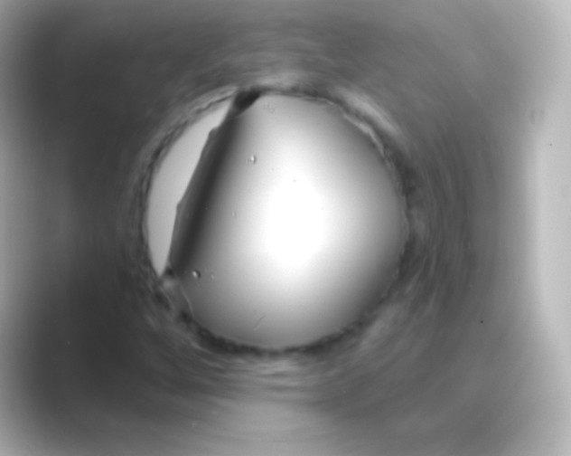 X0000088711256200706211956