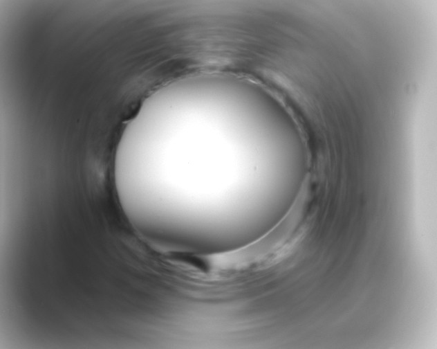 X0000088711257200706211956