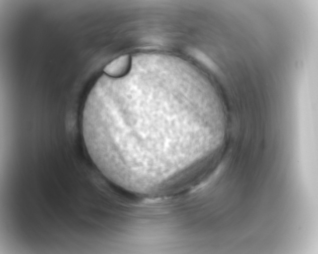 X0000088711259200706211956