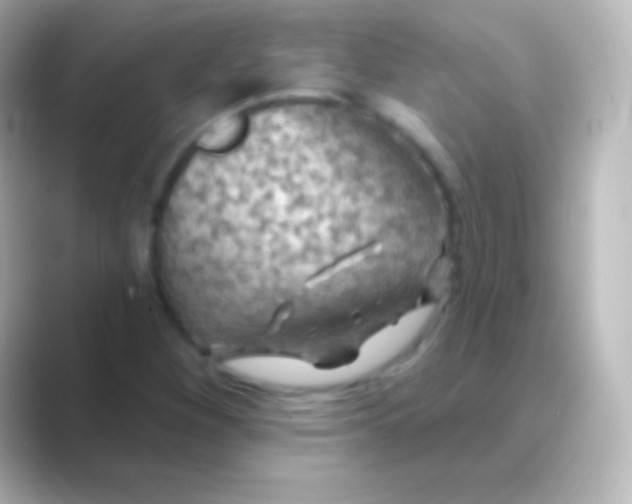 X0000088711260200706211956