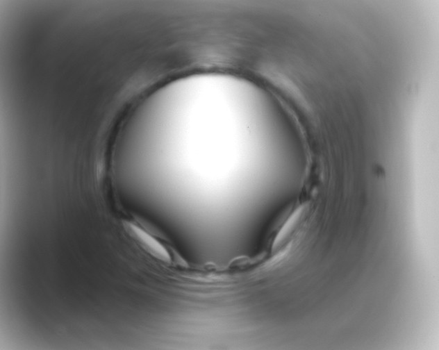 X0000088711261200706211956