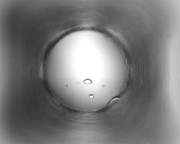 X0000088711262200706211956