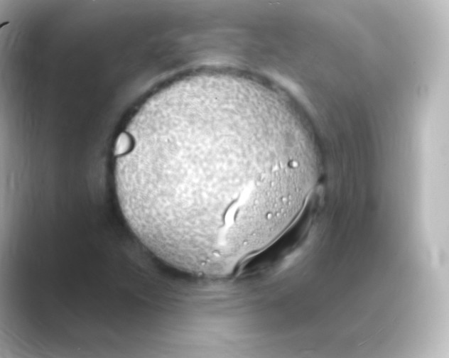 X0000088711263200706211956