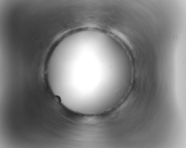 X0000088711264200706211956