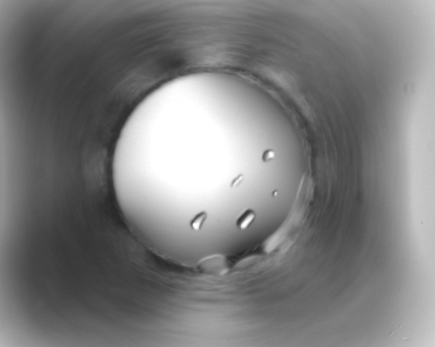 X0000088711265200706211956