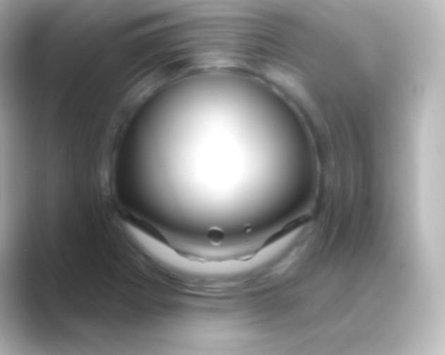 X0000088711273200706211956